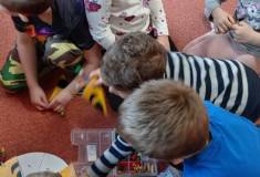 IMG_20250326_100932