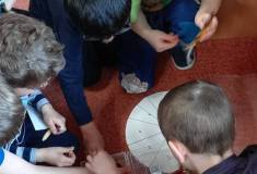 IMG_20250326_101215