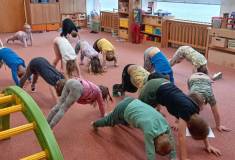 IMG_20250328_085304