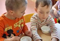 IMG_20250408_080751