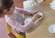 IMG_20250408_094342