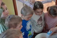 IMG_20250409_095311