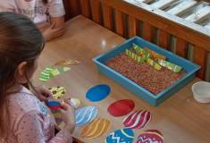IMG_20250410_073815