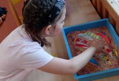 IMG_20250410_074206
