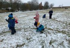 29fe5cd2-583c-4cfe-a6b2-730dfca2538e