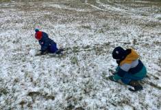 8348ba5b-9698-414b-826f-77662a559f89