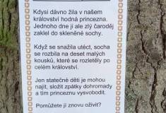 IMG_20260520_152642