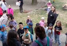 IMG_20260520_153124