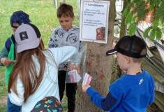 IMG_20260520_153504