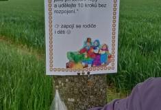 IMG_20260520_153634