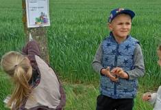 IMG_20260520_153707