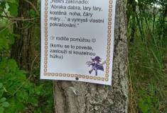 IMG_20260520_153854