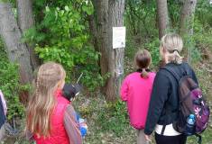 IMG_20260520_153909