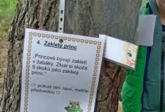 IMG_20260520_154041