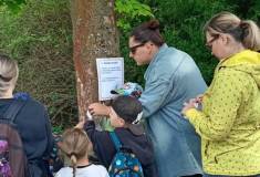 IMG_20260520_154519