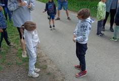 IMG_20260520_154601