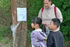 IMG_20260520_154610