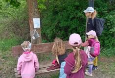 IMG_20260520_154745