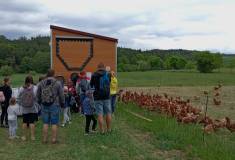 IMG_20260520_154949