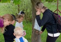 IMG_20260520_160023