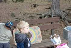 IMG_20260520_160227