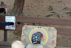 IMG_20260520_160249
