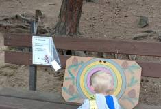 IMG_20260520_160323