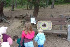 IMG_20260520_160551