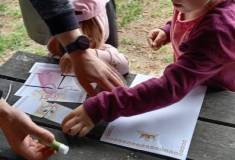 IMG_20260520_160831