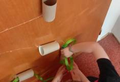 IMG_20260323_063243