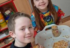 IMG_20260323_064525