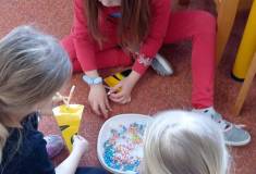 IMG_20260325_092217