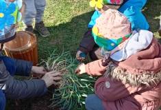 IMG_20260325_104903