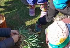 IMG_20260325_104928
