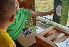 IMG_20260327_071651