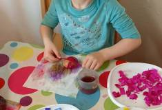 IMG_20260327_084055