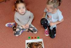 IMG_20251110_093939