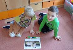 IMG_20251110_094026