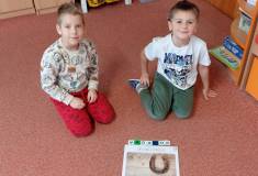IMG_20251110_094139