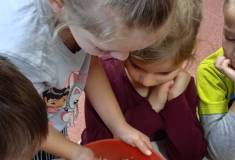 IMG_20251110_101143