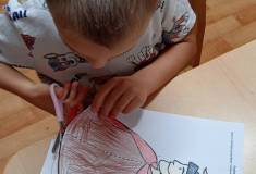 IMG_20251111_063619