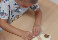 IMG_20251111_100044