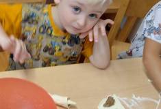 IMG_20251111_100050