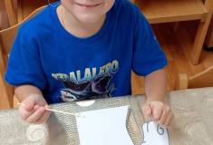 IMG_20251113_074709