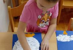 IMG_20251113_075342