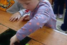 IMG_20250402_121257