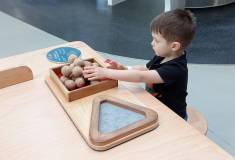 IMG_20260318_094211