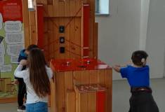 IMG_20260318_110643