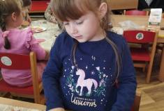 IMG_20250312_083827