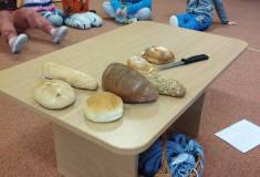 IMG_20240220_092202